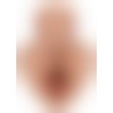 PDXPlus Pick Your Pleasure Bro