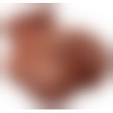 PET Fuck My Silly Bubble Butt