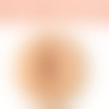 Мастурбатор Fleshlight Fleshlight Girls - Riley Reid Euphoria