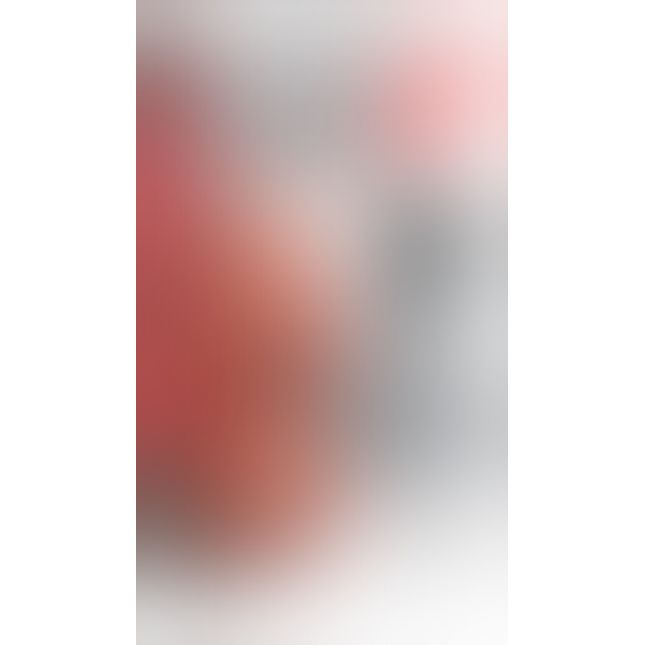 PDX Plus Perfect 10 Torso Tan