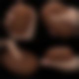 Мастурбатор - Slider Double-Ended Masturbator Ass and Vagina Brown