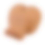 Мастурбатор - Crazy Bull Kylie Latin