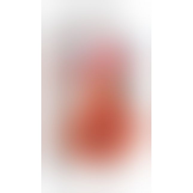 Pipedream Wet Pussies Juicy SnatchT