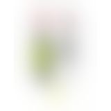 Tenga Spinner Masturbator Shell - спиральный мастурбатор,13х4.5 см (прозрачный)