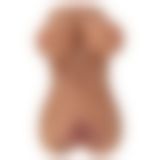 Мастурбатор - Crazy Bull Hannah Masturbator Latin