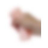 Мастурбатор - Manga Masturbator Cup