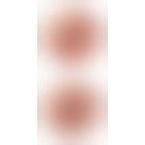 PET Tight Grip Pussy&Ass Mastu