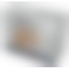 SilexD Daphne Ass Masturbator