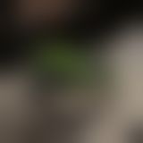 Смарт-мастурбатор BANANASOME ROCKET X7, вібрації, стискання, імітація фрикцій, підігрів Смарт-мастурбатор BANANASOME ROCKET X7, вібрації, стискання, імітація фрикцій, підігрів