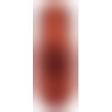 PDX Plus PP Double Stroker Bro