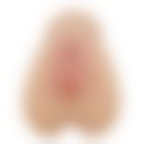 Мастурбатор - Crazy Bull Caroline Masturbator Flesh