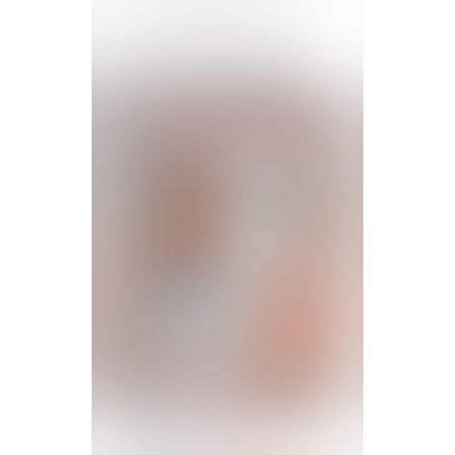 PET Deluxe See-Thru Stroker