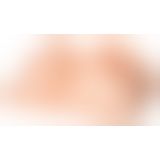 PDX Plus EZ Bang Torso Light