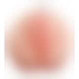 PET Deluxe See-Thru Stroker