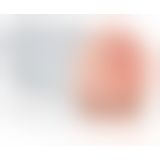 PET Deluxe See-Thru Stroker