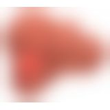 PDX Plus Pimp Your Pleasure St