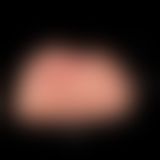 Мастурбатор - Vibrating Realistic Pet Pussy & Anus