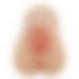 Мастурбатор - Crazy Bull Elena Masturbator Flesh