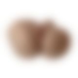 Торс девушки SilexD Helena Female Torso Flesh