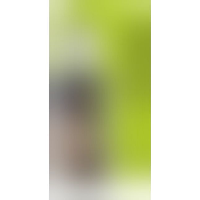 Чоловічі духи - Perfumy Allure & More Green For Man, 30 мл