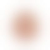 Вакуумна помпа - Maximizer Worx VX2 Pussy Pump