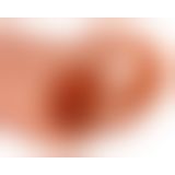 FXTP 2" Ext w Ball Strap Light