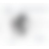 FCR Rock Hard Ass Gasm FCR Rock Hard Ass Gasm