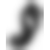 Benedict Penisring Benedict Penisring