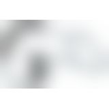 Бондаж - Leder-Riemen Бондаж - Leder-Riemen