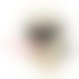 Страпон - Ultra Passionate Harness Vibrating, 16.5 см