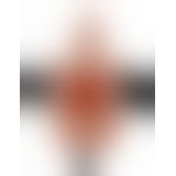 Порожнистий страпон з вібрацією Fetish Fantasy Series 9 Vibrating Hollow, 23х4, 5 см