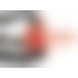 Чоловічий страпон - Easy Rider Strap On Flesh