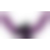 FFS Double Delight Strap-On