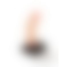 Пикантные Штучки - Страпон с фаллоимитатором из Био-кожи, 16,5х4,1 см, (телесный) Пикантные Штучки - Страпон с фаллоимитатором из Био-кожи, 16,5х4,1 см, (телесный)