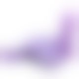Страпон Fetish Fantasy Classic Strap - On, 15х4 см