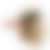 Страпон - Ultra Multi-speed Vibration Strap On 10.2"