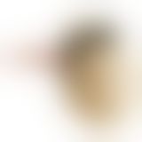 Страпон - Ultra Multi-speed Vibration Strap On 9.4"