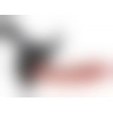 KC Strap-On with 9" Cock Light