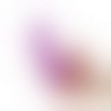 Страпон - Holy Dong Strapless Strap On 12" Flesh+Purple