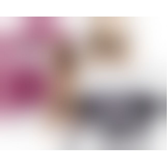 Трусики для страпона - Universal Harness Black