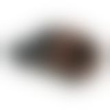 Фалопротез Fetish Fantasy, коричневый, 24Х4,5 см