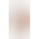 Фалопротез Fetish Fantasy, коричневый, 24Х4,5 см