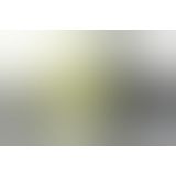 Фаллопротез светящийся с вибратором Fetish Fantasy Vibrating Hollow, 16х4 см