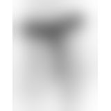 KC 7 Uncut with Strap-On Ligh