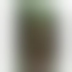 Трусики для страпону - Ingen Camo Strap-On Shorts (на талію 97-107 см)