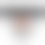 Страпон - Rodeo G Strap-On 8"