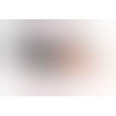 Фаллопротез с вибратором Fetish Fantasy Hollow, 15Х4,5 см (телесный) Фаллопротез с вибратором Fetish Fantasy Hollow, 15Х4,5 см (телесный)
