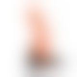 Женский страпон - Multi-speed Rotation Harness Flesh, 18 см Женский страпон - Multi-speed Rotation Harness Flesh, 18 см