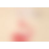 Phoenix Neo 2 Phoenix Neo 2