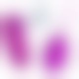 Віброяйце та кліторальний стимулятор - Pretty Love Orthus Multifunctional 2 in 1 Vibrator Purple